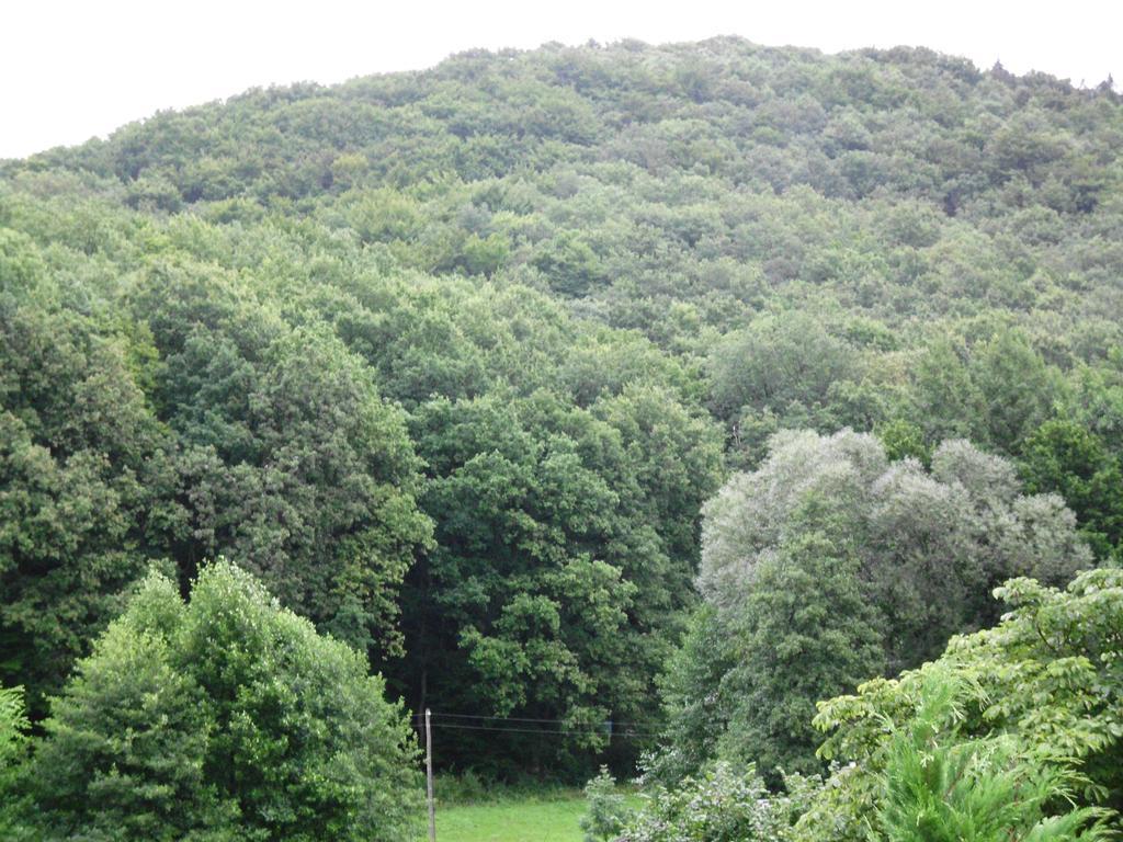Gasthof Waldblick 3*
